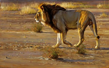 león 10 Pinturas al óleo